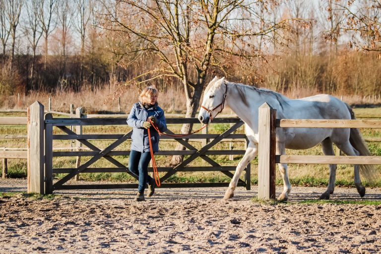 Kheiron | Equine Assisted Learning |