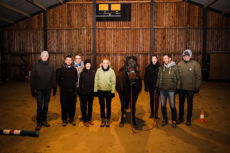 Kheiron | Equine Assisted Learning | Workshop in company