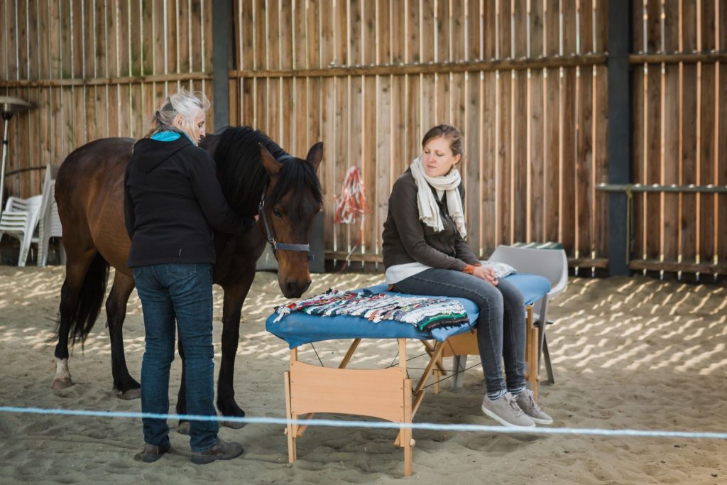 Kheiron | Equine Assisted Learning | Klara osteopathie paarden