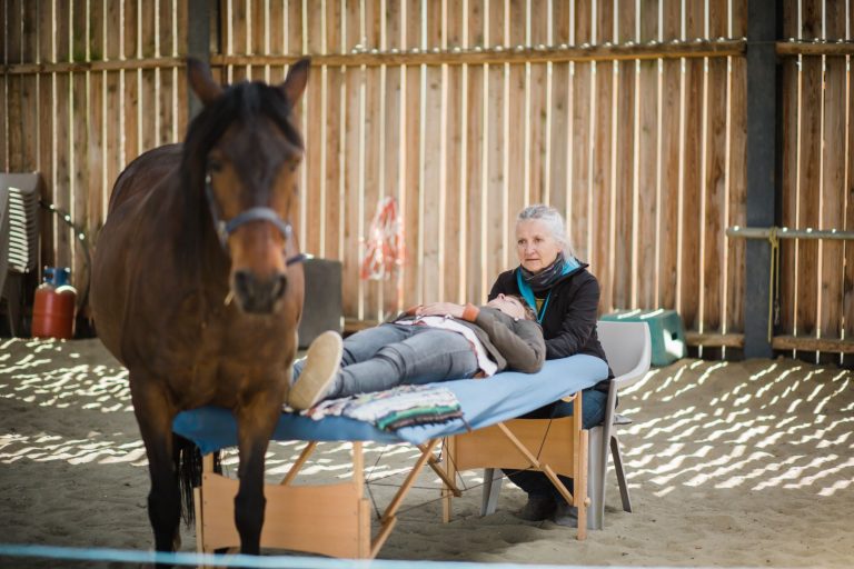 Kheiron | Equine Assisted Learning | Klara osteopathie paarden