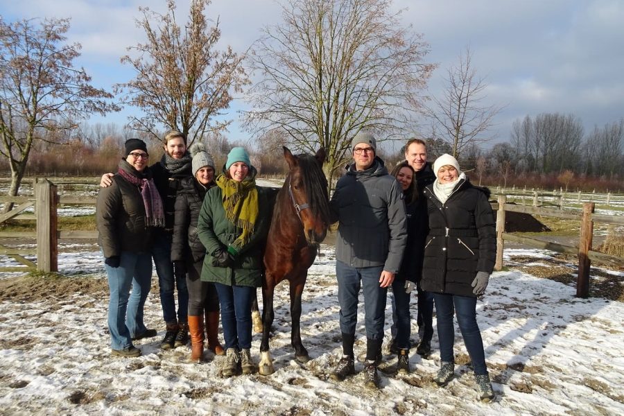 Kheiron | Equine Assisted Learning | Workshop in company