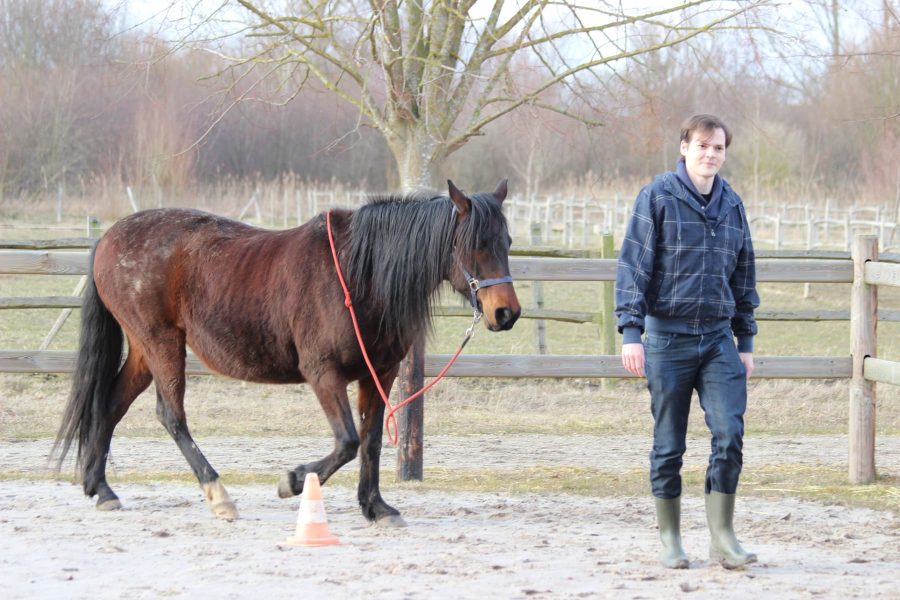 Kheiron | Equine Assisted Learning | Individuele coaching